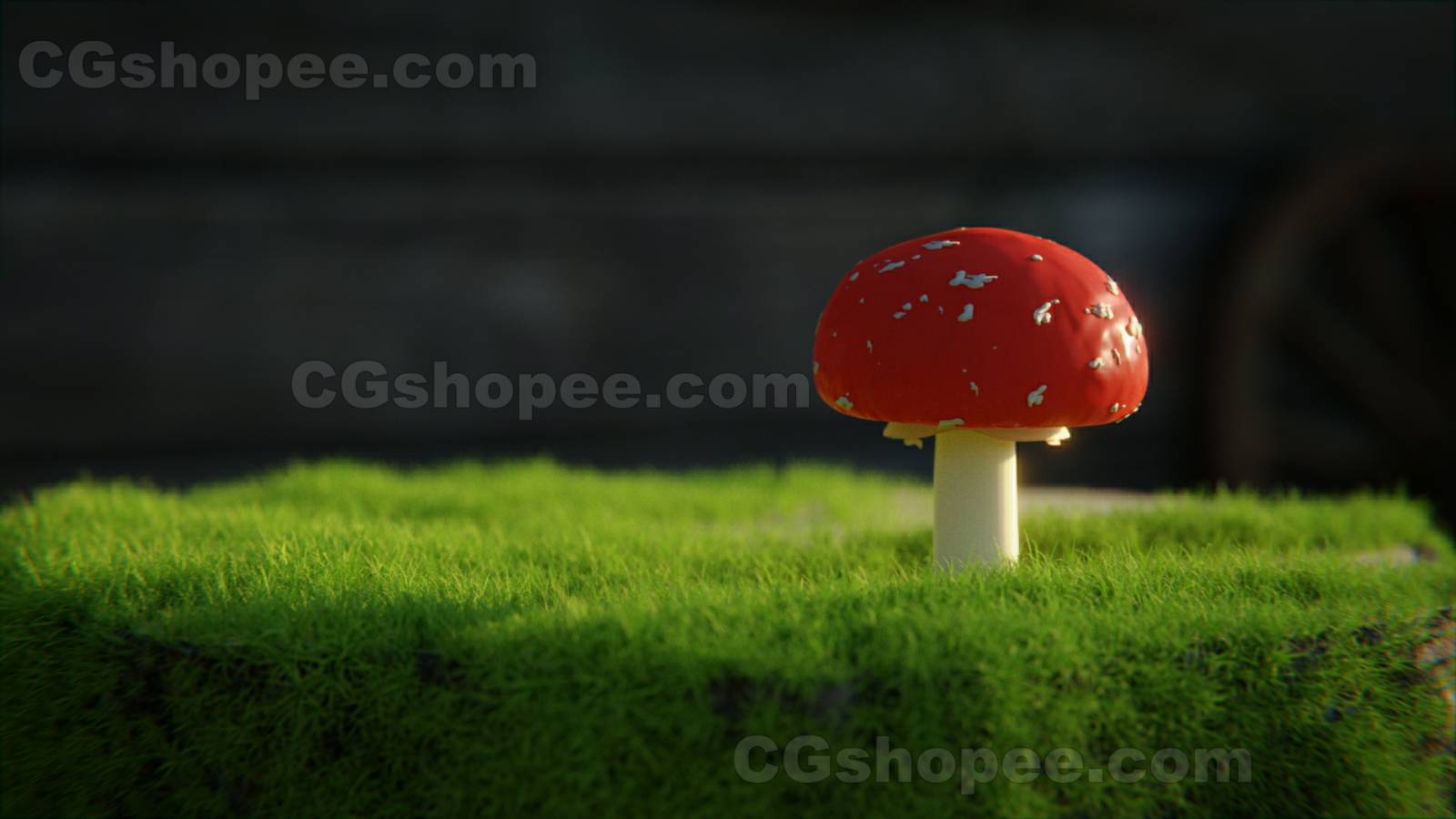 图片[3]|Cabin in the woods – Blender - cgshopee|cgshopee