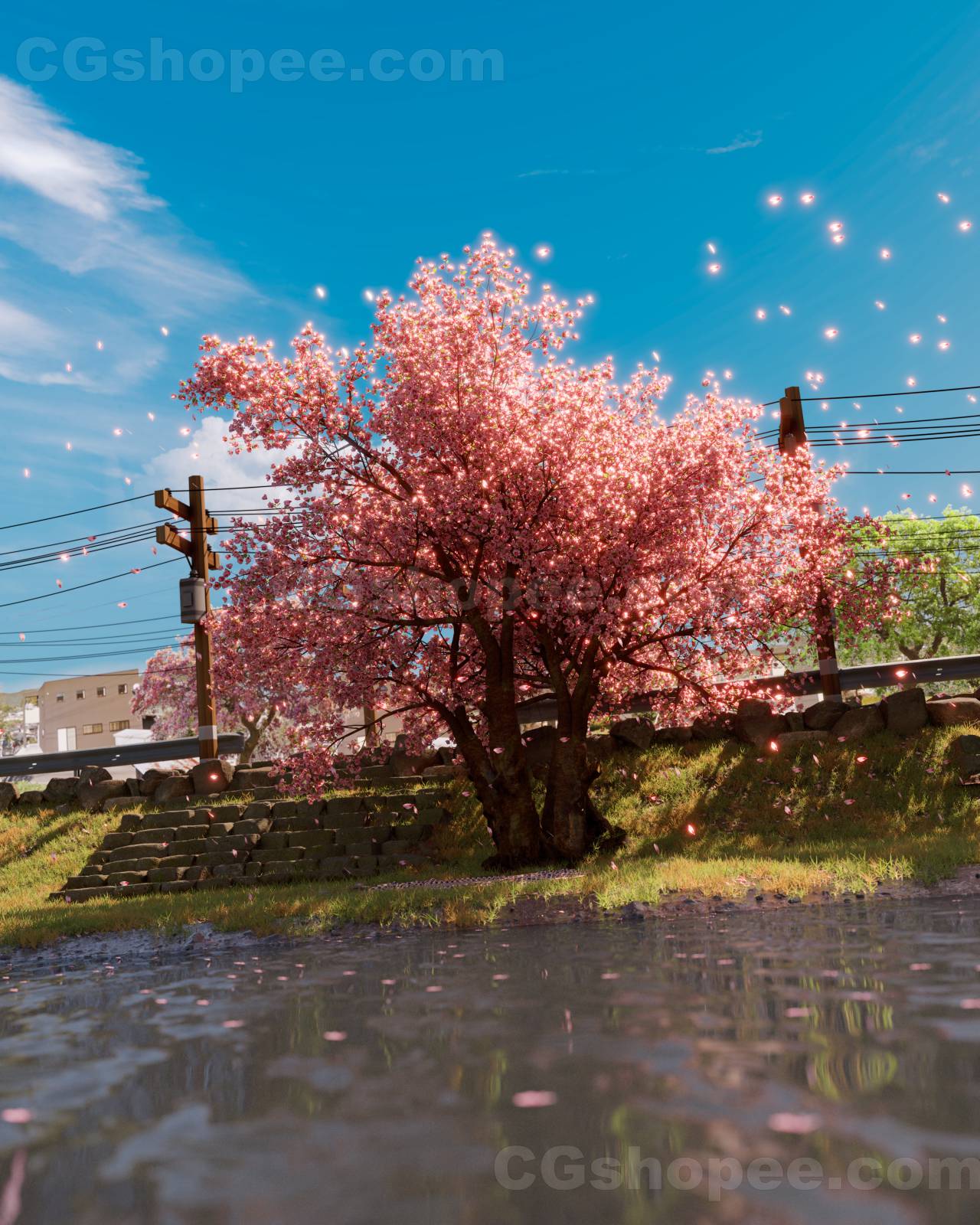 图片[1]|Sakura Scene – Blender - cgshopee|cgshopee