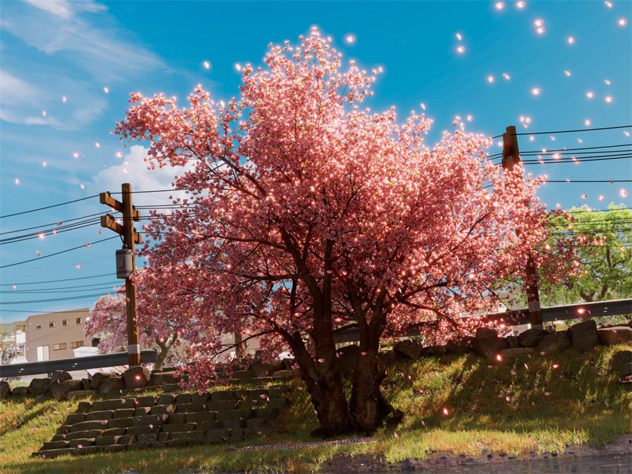 Sakura Scene – Blender - cgshopee|cgshopee